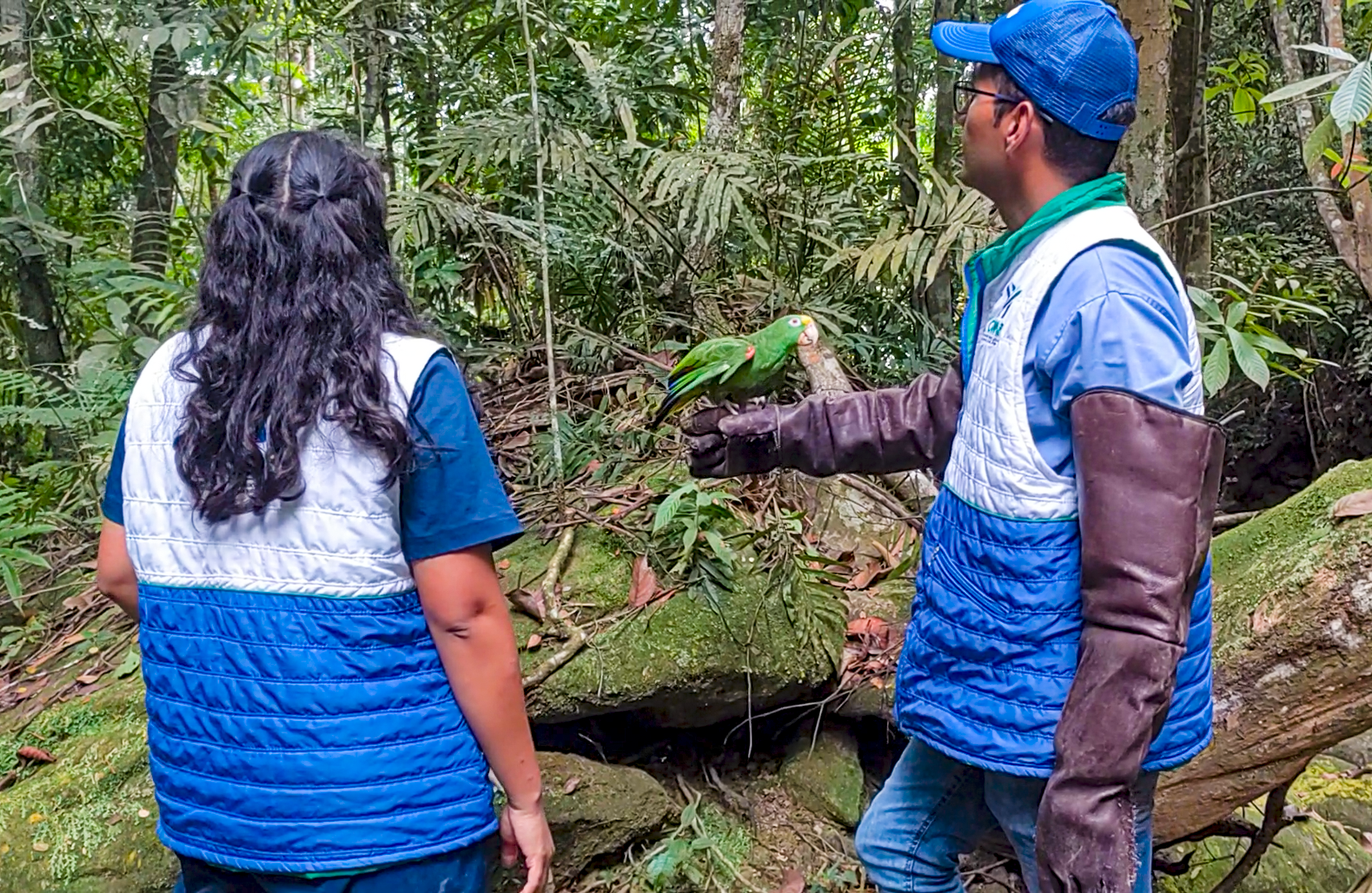 Bucaramanga y su vida silvestre: un equilibrio posible entre lo urbano y lo natural