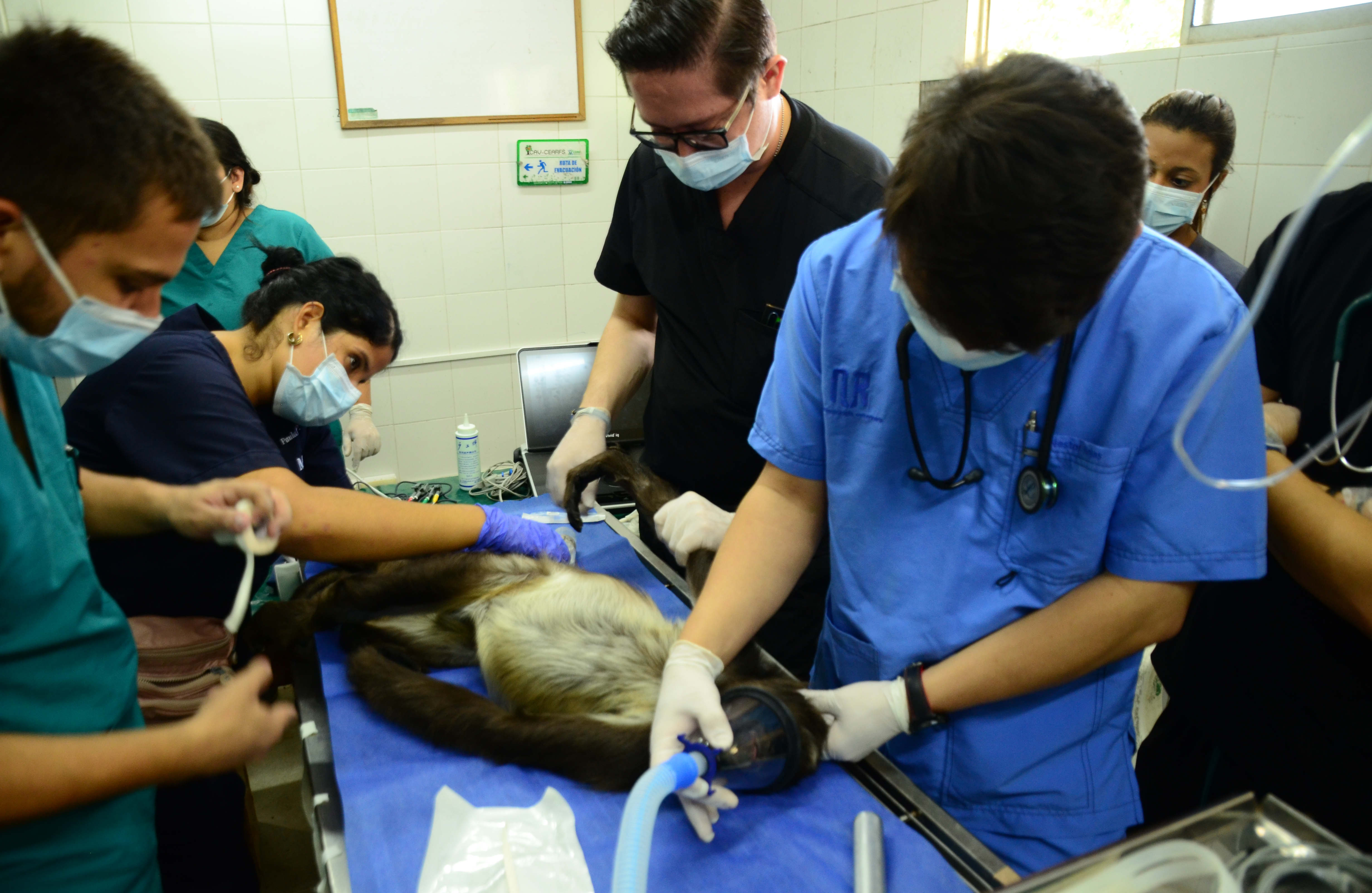 Cardiología en el CAV CDMB