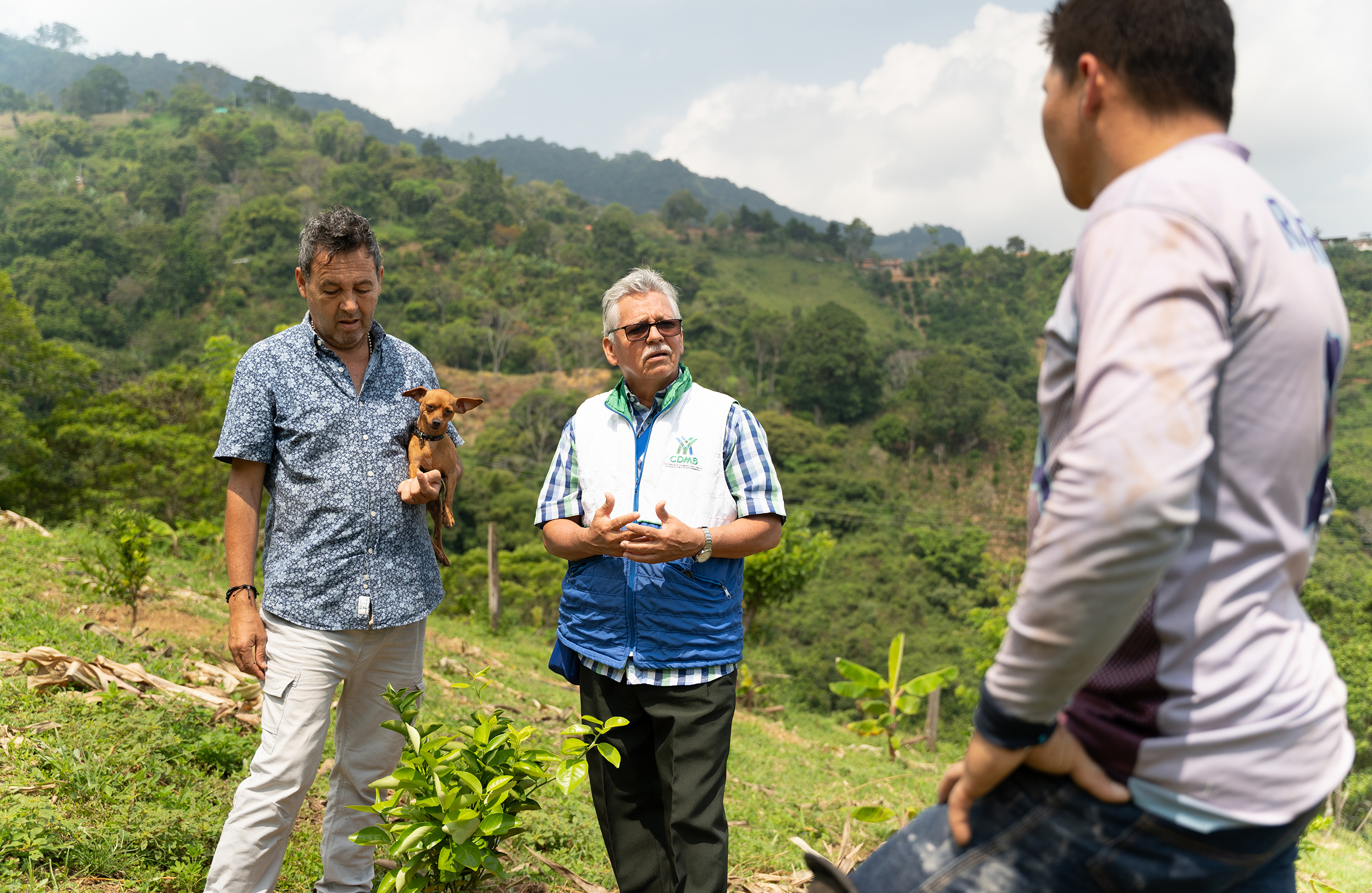 CDMB inició la implementación de un nuevo proyecto agroforestal 