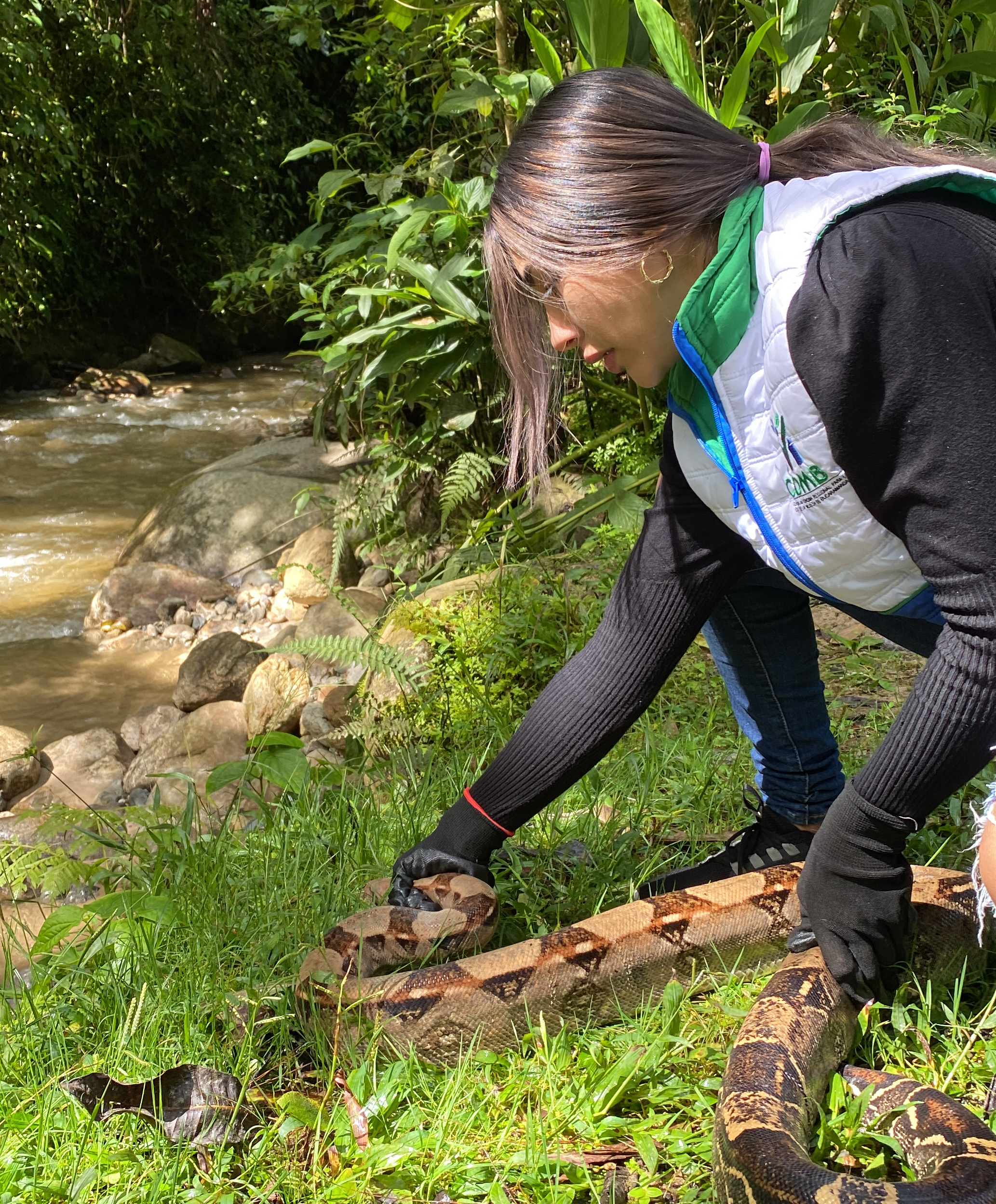 La CDMB conmemora el Día Nacional de la Vida Silvestre y avanza en la preservación de la fauna y la flora