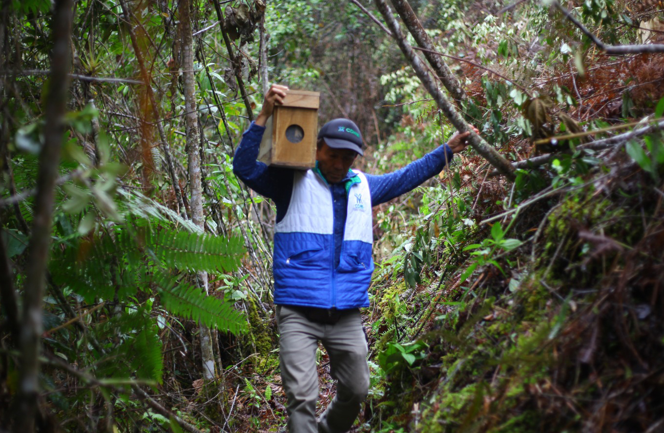 La CDMB instó a las alcaldías a crear los equipos de trabajo élite de manejo y control de abejas urbanas