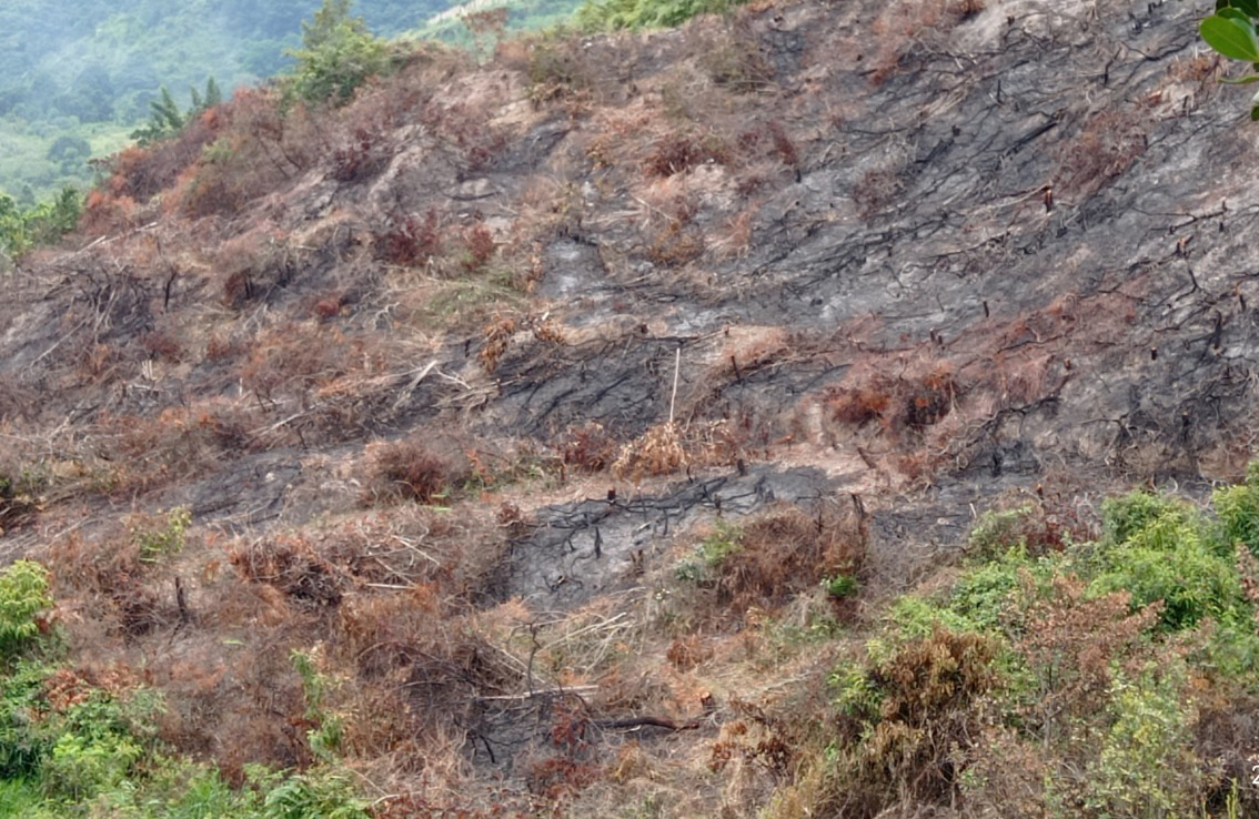 Por amenaza alta de incendios de cobertura vegetal, la CDMB exhortó a la comunidad a evitar las ‘quemas abiertas’