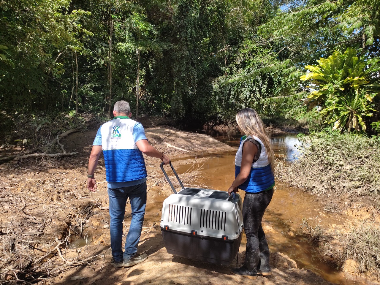 ¡Hacia la ruta de la libertad!