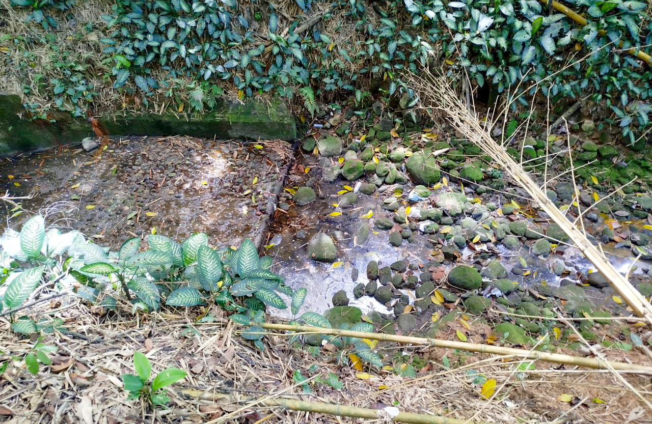 CDMB atendió denuncia ciudadana y confirmó presencia de combustible en quebrada El Macho en Bucaramanga